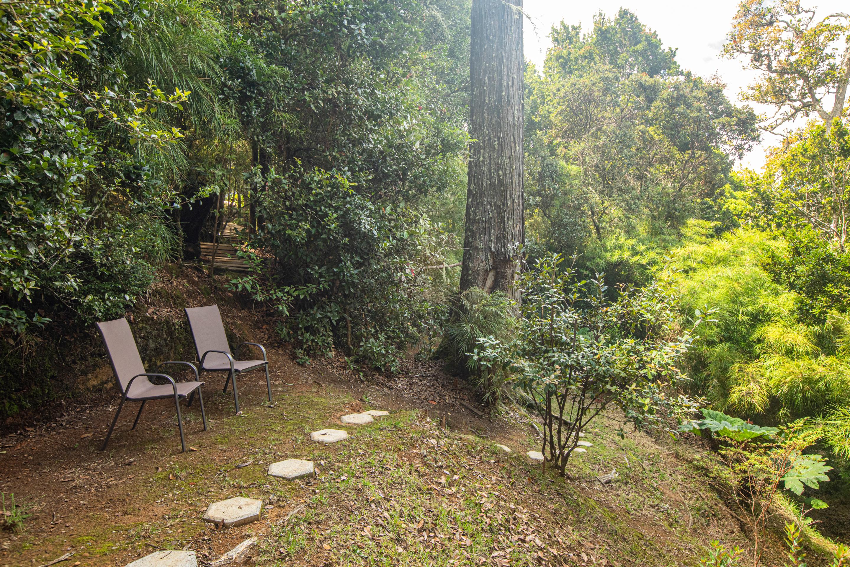 Dantica Cloud Forest Lodge San Gerardo de Dota Exterior foto
